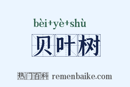 贝叶树是什么意思的图片